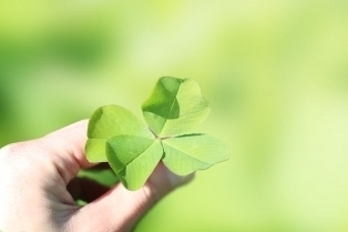 lucky.jpg